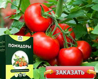 Купить мини ферму овощей