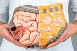 Благодаря Keto Genetic расщепляется висцеральный жир.