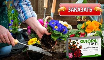 Флоравит купить в магазине.