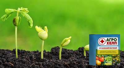 agrohelp-dlya-rasteniy