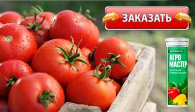 Агромастер купить в магазине.