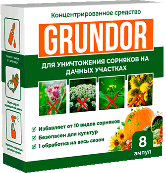 Средство Грундор.