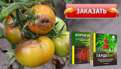 Корнефит и Гардефит купить в магазине.